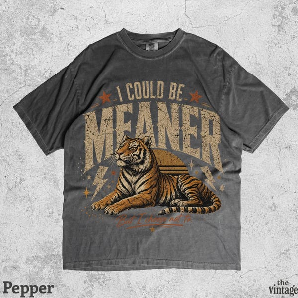 I Could Be Meaner Tiger Shirt vintage graphic tee by TheVintageBy